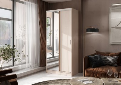 Шкаф-купе АЛЬЯНС 1,0 м БЕЛФОРТ/БЕЛФОРТ